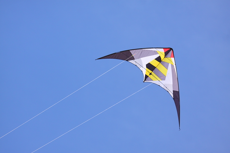 Japanese kite Festival