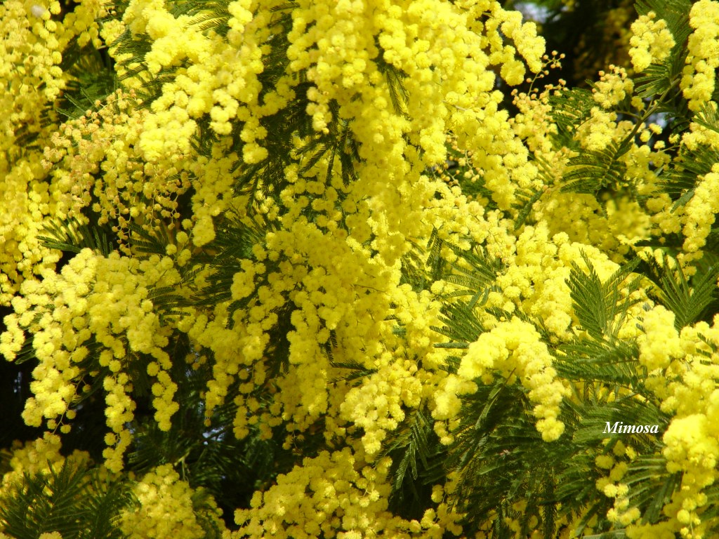 Trung hoc Kien Tuong Homepage - relax